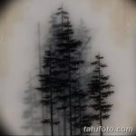 фото Эскизы тату ель от 23.04.2018 №147 - Sketches of a tattoo spruce - tatufoto.com
