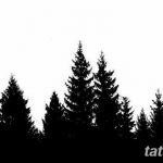 фото Эскизы тату ель от 23.04.2018 №149 - Sketches of a tattoo spruce - tatufoto.com