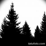 фото Эскизы тату ель от 23.04.2018 №150 - Sketches of a tattoo spruce - tatufoto.com