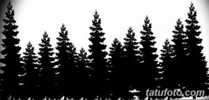 Фото татуировки с изображением силуэтов елей на фоне неба, выполненного в черном цвете. Подходит для больших тату на спине или плече.