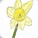 фото Эскизы тату нарцисс от 18.04.2018 №001 - Sketches of daffodil - tatufoto.com