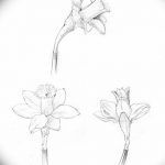 фото Эскизы тату нарцисс от 18.04.2018 №002 - Sketches of daffodil - tatufoto.com