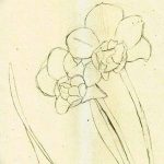 фото Эскизы тату нарцисс от 18.04.2018 №007 - Sketches of daffodil - tatufoto.com