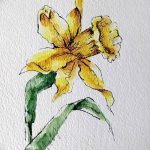 фото Эскизы тату нарцисс от 18.04.2018 №012 - Sketches of daffodil - tatufoto.com
