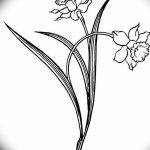 фото Эскизы тату нарцисс от 18.04.2018 №015 - Sketches of daffodil - tatufoto.com