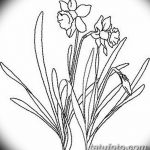 фото Эскизы тату нарцисс от 18.04.2018 №016 - Sketches of daffodil - tatufoto.com