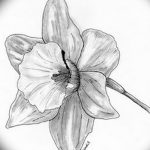 фото Эскизы тату нарцисс от 18.04.2018 №022 - Sketches of daffodil - tatufoto.com