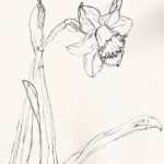 фото Эскизы тату нарцисс от 18.04.2018 №023 - Sketches of daffodil - tatufoto.com