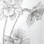 фото Эскизы тату нарцисс от 18.04.2018 №024 - Sketches of daffodil - tatufoto.com