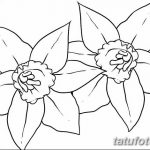 фото Эскизы тату нарцисс от 18.04.2018 №026 - Sketches of daffodil - tatufoto.com