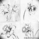 фото Эскизы тату нарцисс от 18.04.2018 №028 - Sketches of daffodil - tatufoto.com