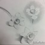 фото Эскизы тату нарцисс от 18.04.2018 №029 - Sketches of daffodil - tatufoto.com