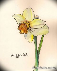 Фото тату нарцисса в акварельном стиле с надписью 'daffodil'. Нежные цвета, реалистичный рисунок, идея для женской татуировки.