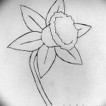 фото Эскизы тату нарцисс от 18.04.2018 №037 - Sketches of daffodil - tatufoto.com