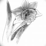 фото Эскизы тату нарцисс от 18.04.2018 №039 - Sketches of daffodil - tatufoto.com