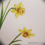 фото Эскизы тату нарцисс от 18.04.2018 №040 - Sketches of daffodil - tatufoto.com