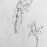 фото Эскизы тату нарцисс от 18.04.2018 №042 - Sketches of daffodil - tatufoto.com