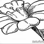 фото Эскизы тату нарцисс от 18.04.2018 №043 - Sketches of daffodil - tatufoto.com