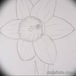фото Эскизы тату нарцисс от 18.04.2018 №044 - Sketches of daffodil - tatufoto.com