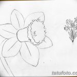 фото Эскизы тату нарцисс от 18.04.2018 №045 - Sketches of daffodil - tatufoto.com