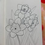 фото Эскизы тату нарцисс от 18.04.2018 №046 - Sketches of daffodil - tatufoto.com