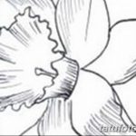 фото Эскизы тату нарцисс от 18.04.2018 №048 - Sketches of daffodil - tatufoto.com
