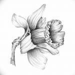 фото Эскизы тату нарцисс от 18.04.2018 №050 - Sketches of daffodil - tatufoto.com