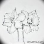 фото Эскизы тату нарцисс от 18.04.2018 №051 - Sketches of daffodil - tatufoto.com
