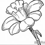 фото Эскизы тату нарцисс от 18.04.2018 №052 - Sketches of daffodil - tatufoto.com