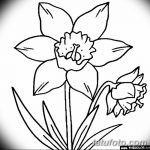 фото Эскизы тату нарцисс от 18.04.2018 №053 - Sketches of daffodil - tatufoto.com