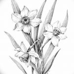 фото Эскизы тату нарцисс от 18.04.2018 №057 - Sketches of daffodil - tatufoto.com