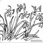 фото Эскизы тату нарцисс от 18.04.2018 №061 - Sketches of daffodil - tatufoto.com