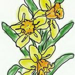 фото Эскизы тату нарцисс от 18.04.2018 №063 - Sketches of daffodil - tatufoto.com
