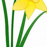 фото Эскизы тату нарцисс от 18.04.2018 №067 - Sketches of daffodil - tatufoto.com