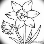 фото Эскизы тату нарцисс от 18.04.2018 №068 - Sketches of daffodil - tatufoto.com