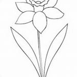 фото Эскизы тату нарцисс от 18.04.2018 №071 - Sketches of daffodil - tatufoto.com