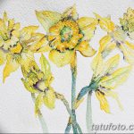 фото Эскизы тату нарцисс от 18.04.2018 №076 - Sketches of daffodil - tatufoto.com