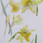 фото Эскизы тату нарцисс от 18.04.2018 №077 - Sketches of daffodil - tatufoto.com