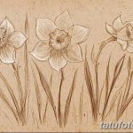фото Эскизы тату нарцисс от 18.04.2018 №082 - Sketches of daffodil - tatufoto.com
