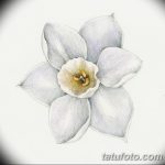 фото Эскизы тату нарцисс от 18.04.2018 №083 - Sketches of daffodil - tatufoto.com