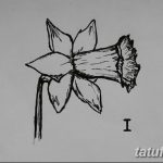 фото Эскизы тату нарцисс от 18.04.2018 №087 - Sketches of daffodil - tatufoto.com