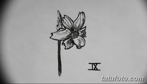 Черно-белый эскиз татуировки нарцисса с добавлением римских цифр IX. Изображен один цветок нарцисса на тонком стебле.