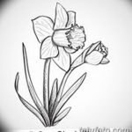 фото Эскизы тату нарцисс от 18.04.2018 №089 - Sketches of daffodil - tatufoto.com