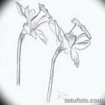 фото Эскизы тату нарцисс от 18.04.2018 №091 - Sketches of daffodil - tatufoto.com