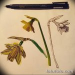 фото Эскизы тату нарцисс от 18.04.2018 №092 - Sketches of daffodil - tatufoto.com