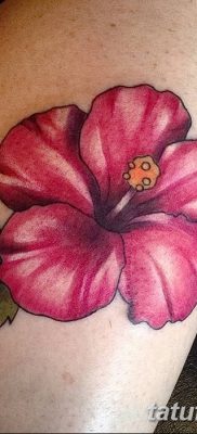 фото тату Гибискус от 20.04.2018 №026 — tattoo Hibiscus — tatufoto.com
