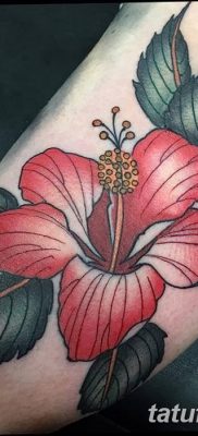 фото тату Гибискус от 20.04.2018 №085 — tattoo Hibiscus — tatufoto.com