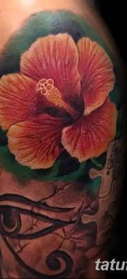 фото тату Гибискус от 20.04.2018 №097 — tattoo Hibiscus — tatufoto.com