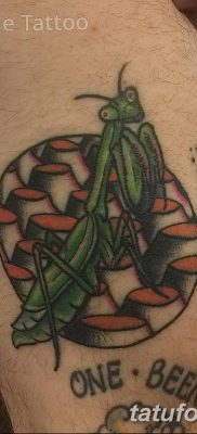 фото тату богомол от 20.04.2018 №006 — mantis tattoo — tatufoto.com
