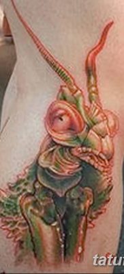 фото тату богомол от 20.04.2018 №007 — mantis tattoo — tatufoto.com